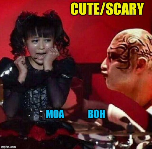 Cute/Scary | CUTE/SCARY; MOA             BOH | image tagged in babymetal,moa kikuchi,boh | made w/ Imgflip meme maker