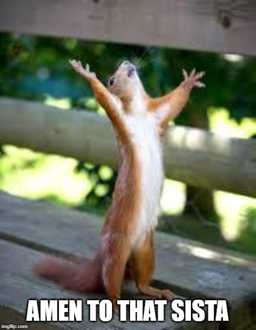 Praise Squirrel | AMEN TO THAT SISTA | image tagged in praise squirrel | made w/ Imgflip meme maker