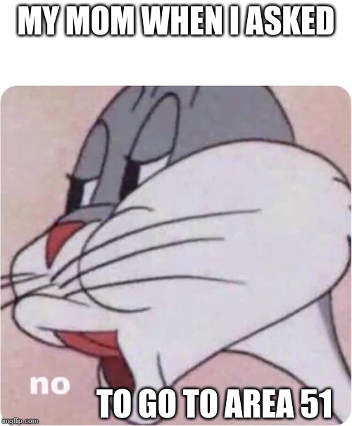 Bugs Bunny No | MY MOM WHEN I ASKED; TO GO TO AREA 51 | image tagged in bugs bunny no | made w/ Imgflip meme maker