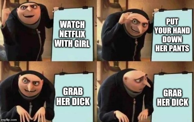 Gru's Plan Meme | WATCH NETFLIX WITH GIRL; PUT YOUR HAND DOWN HER PANTS; GRAB HER DICK; GRAB HER DICK | image tagged in gru's plan | made w/ Imgflip meme maker
