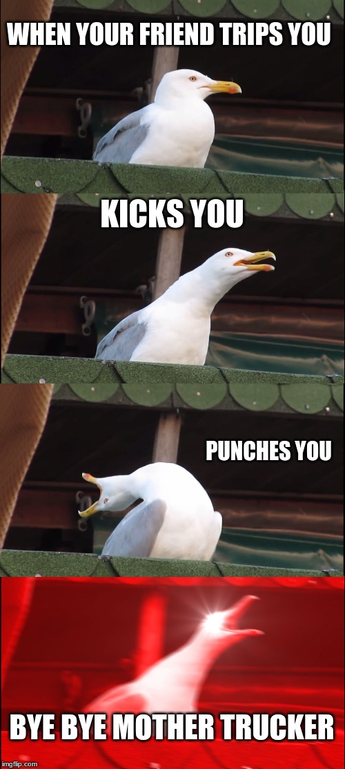 Inhaling Seagull | WHEN YOUR FRIEND TRIPS YOU; KICKS YOU; PUNCHES YOU; BYE BYE MOTHER TRUCKER | image tagged in memes,inhaling seagull | made w/ Imgflip meme maker