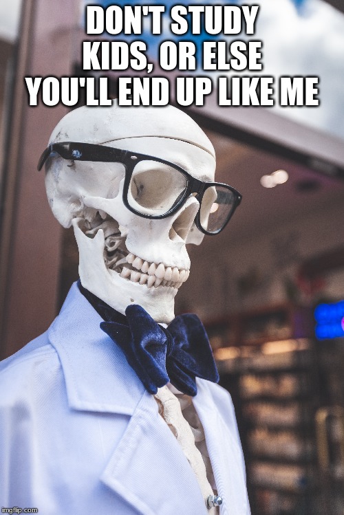 DON'T STUDY KIDS, OR ELSE YOU'LL END UP LIKE ME | image tagged in skeleton | made w/ Imgflip meme maker