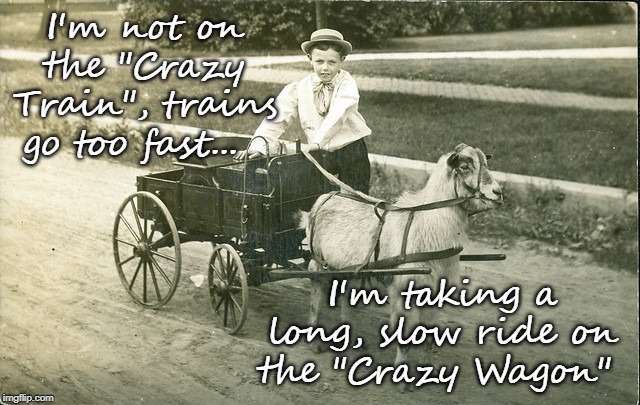 Crazy Train/Crazy Wagon | I'm not on the "Crazy Train", trains go too fast... I'm taking a long, slow ride on the "Crazy Wagon" | image tagged in crazy,ride,wagon,train | made w/ Imgflip meme maker