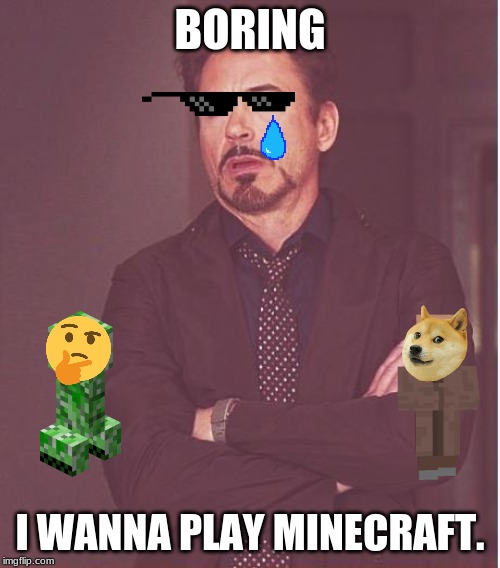 Face You Make Robert Downey Jr Meme | BORING; I WANNA PLAY MINECRAFT. | image tagged in memes,face you make robert downey jr | made w/ Imgflip meme maker