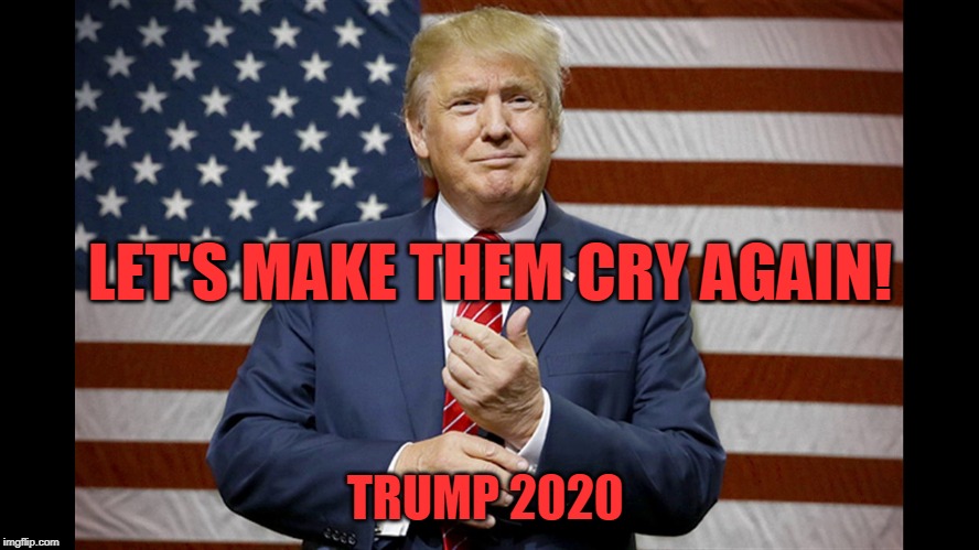 THE BEST POTUS EVER!! | LET'S MAKE THEM CRY AGAIN! TRUMP 2020 | image tagged in politics,political meme,political,politics lol,political humor,political memes | made w/ Imgflip meme maker