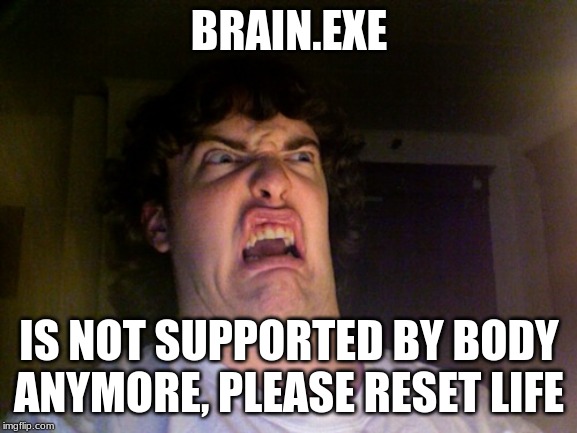 Oh No | BRAIN.EXE; IS NOT SUPPORTED BY BODY ANYMORE, PLEASE RESET LIFE | image tagged in memes,oh no | made w/ Imgflip meme maker
