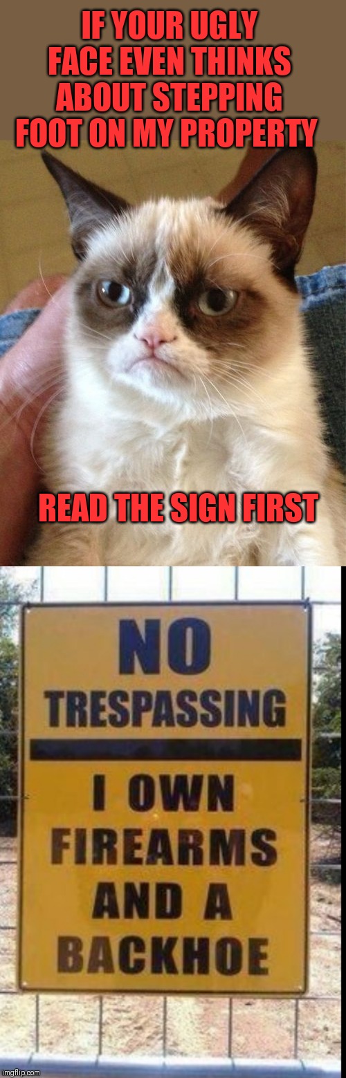 Graves by grumpy | IF YOUR UGLY FACE EVEN THINKS ABOUT STEPPING FOOT ON MY PROPERTY; READ THE SIGN FIRST | image tagged in memes,grumpy cat,44colt,trespassing,grave,guns | made w/ Imgflip meme maker