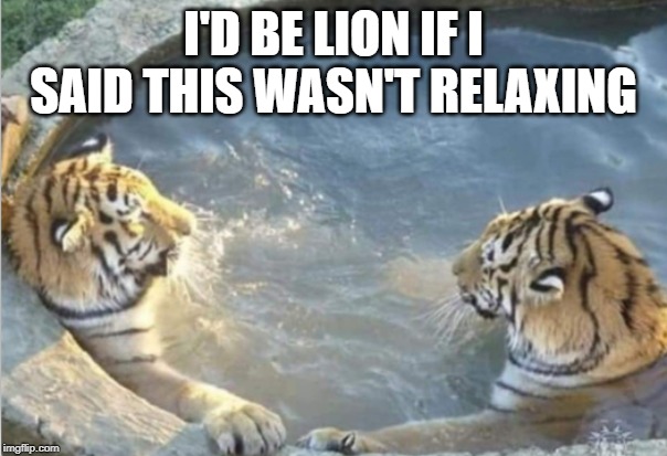 Just Lion Around | I'D BE LION IF I SAID THIS WASN'T RELAXING | image tagged in lion,memes | made w/ Imgflip meme maker