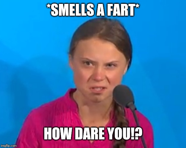How dare you?! | *SMELLS A FART*; HOW DARE YOU!? | image tagged in how dare you | made w/ Imgflip meme maker