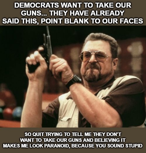Even Donald Trump supports Red Flag laws and that is one of the most anti 2nd amendment stance you can take. | DEMOCRATS WANT TO TAKE OUR GUNS... THEY HAVE ALREADY SAID THIS, POINT BLANK TO OUR FACES; SO QUIT TRYING TO TELL ME THEY DON'T WANT TO TAKE OUR GUNS AND BELIEVING IT MAKES ME LOOK PARANOID, BECAUSE YOU SOUND STUPID | image tagged in memes,am i the only one around here,second amendment,2nd amendment | made w/ Imgflip meme maker