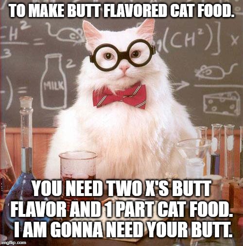 Science Cat | TO MAKE BUTT FLAVORED CAT FOOD. YOU NEED TWO X'S BUTT FLAVOR AND 1 PART CAT FOOD.  I AM GONNA NEED YOUR BUTT. | image tagged in science cat | made w/ Imgflip meme maker