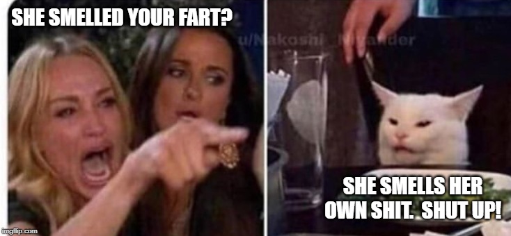 Cat at table | SHE SMELLED YOUR FART? SHE SMELLS HER OWN SHIT.  SHUT UP! | image tagged in cat at table | made w/ Imgflip meme maker