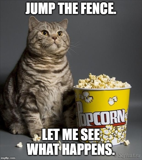 Trump Bill Signing Meme Imgflip