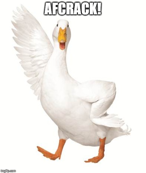 aflac duck | AFCRACK! | image tagged in aflac duck | made w/ Imgflip meme maker