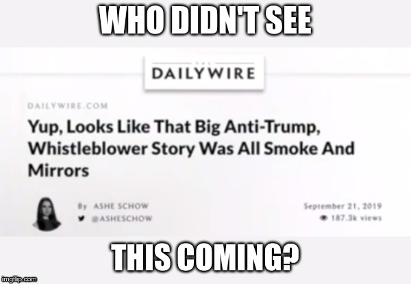 Another whistleblower turns out to be a liar. | WHO DIDN'T SEE; THIS COMING? | image tagged in fake news,maga | made w/ Imgflip meme maker