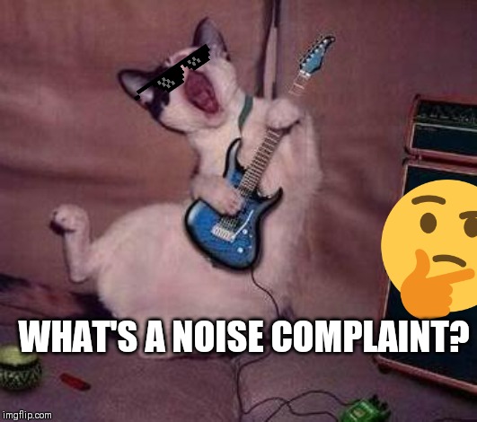 Guitar Cat | WHAT'S A NOISE COMPLAINT? | image tagged in guitar cat | made w/ Imgflip meme maker
