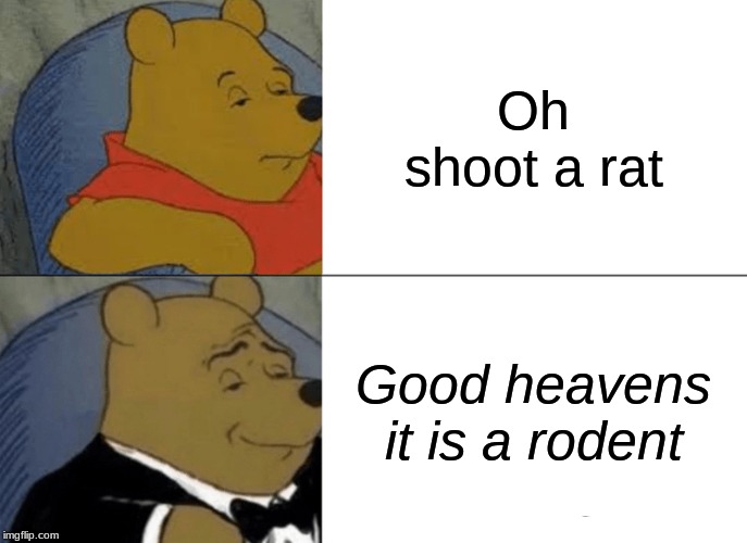 Tuxedo Winnie The Pooh | Oh shoot a rat; Good heavens it is a rodent | image tagged in memes,tuxedo winnie the pooh | made w/ Imgflip meme maker