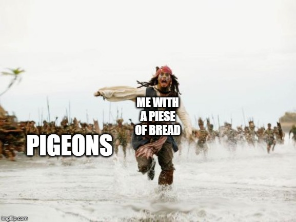 Jack Sparrow Being Chased | ME WITH A PIESE OF BREAD; PIGEONS | image tagged in memes,jack sparrow being chased | made w/ Imgflip meme maker