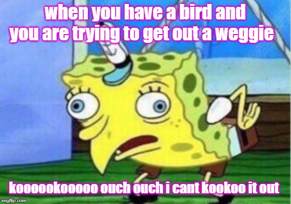 Mocking Spongebob Meme | when you have a bird and you are trying to get out a weggie; koooookooooo ouch ouch i cant kookoo it out | image tagged in memes,mocking spongebob | made w/ Imgflip meme maker