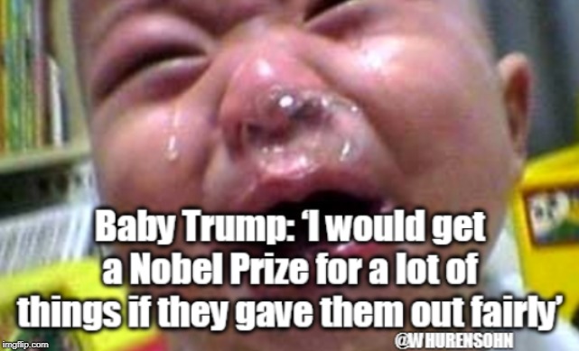 Trump embarrasses America. | image tagged in trump baby,trump,nobel prize | made w/ Imgflip meme maker