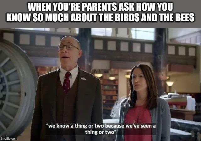 We know a thing or two because we've seen a thing or two | WHEN YOU'RE PARENTS ASK HOW YOU KNOW SO MUCH ABOUT THE BIRDS AND THE BEES | image tagged in we know a thing or two because we've seen a thing or two | made w/ Imgflip meme maker