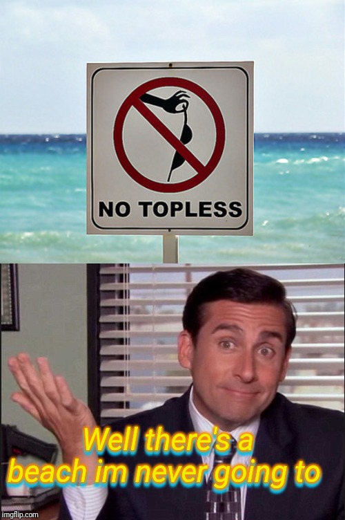 Well there's a beach im never going to; Well there's a beach im never going to | image tagged in michael scott | made w/ Imgflip meme maker