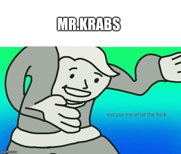 Excuse me, what the fuck | MR.KRABS | image tagged in excuse me what the fuck | made w/ Imgflip meme maker