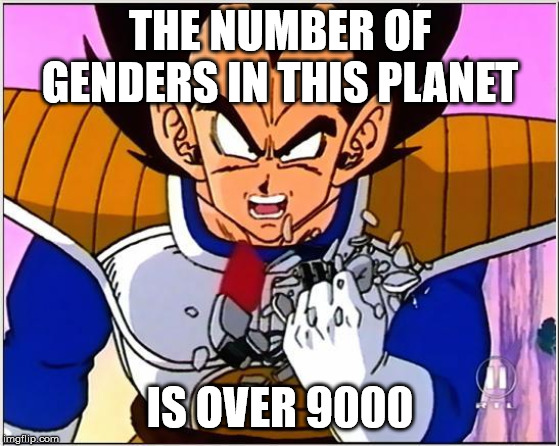 Vegeta over 9000 | THE NUMBER OF GENDERS IN THIS PLANET; IS OVER 9000 | image tagged in vegeta over 9000 | made w/ Imgflip meme maker