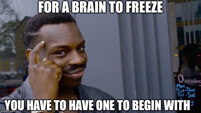 Roll Safe Think About It Meme | FOR A BRAIN TO FREEZE YOU HAVE TO HAVE ONE TO BEGIN WITH | image tagged in memes,roll safe think about it | made w/ Imgflip meme maker
