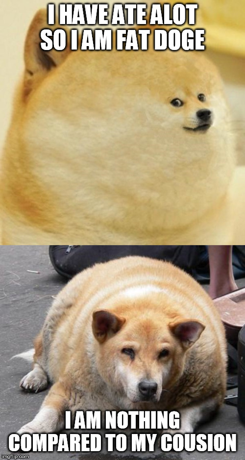 I HAVE ATE ALOT SO I AM FAT DOGE; I AM NOTHING COMPARED TO MY COUSION | image tagged in fat dog,fat doge wow | made w/ Imgflip meme maker