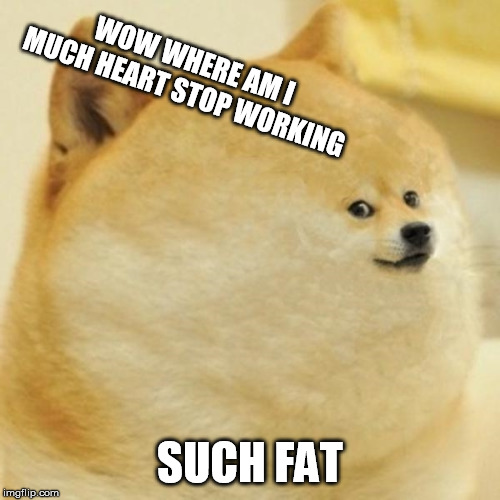 fat doge wow | WOW WHERE AM I MUCH HEART STOP WORKING; SUCH FAT | image tagged in fat doge wow | made w/ Imgflip meme maker
