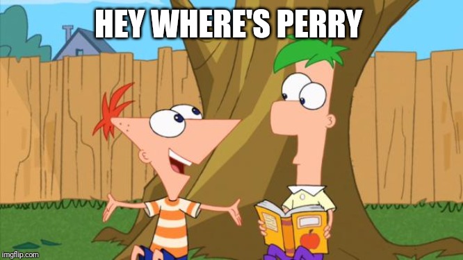 Phineas & Ferb | HEY WHERE'S PERRY | image tagged in phineas  ferb | made w/ Imgflip meme maker