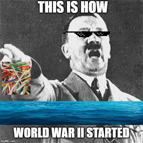 Hitler | THIS IS HOW; WORLD WAR II STARTED | image tagged in hitler | made w/ Imgflip meme maker