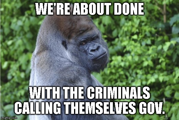 About Had Enough Yet? | WE'RE ABOUT DONE; WITH THE CRIMINALS CALLING THEMSELVES GOV. | image tagged in criminal minds | made w/ Imgflip meme maker