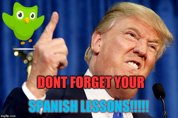 Donald Trump | DONT FORGET YOUR; SPANISH LESSONS!!!!! | image tagged in donald trump | made w/ Imgflip meme maker