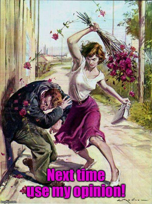 Beaten with Roses | Next time use my opinion! | image tagged in beaten with roses | made w/ Imgflip meme maker