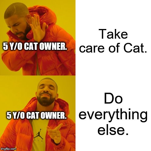 Drake Hotline Bling | Take care of Cat. 5 Y/O CAT OWNER. Do everything else. 5 Y/O CAT OWNER. | image tagged in memes,drake hotline bling | made w/ Imgflip meme maker