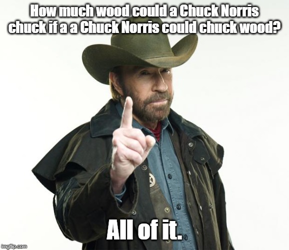 Chuck Norris Finger Meme | How much wood could a Chuck Norris chuck if a a Chuck Norris could chuck wood? All of it. | image tagged in memes,chuck norris finger,chuck norris | made w/ Imgflip meme maker