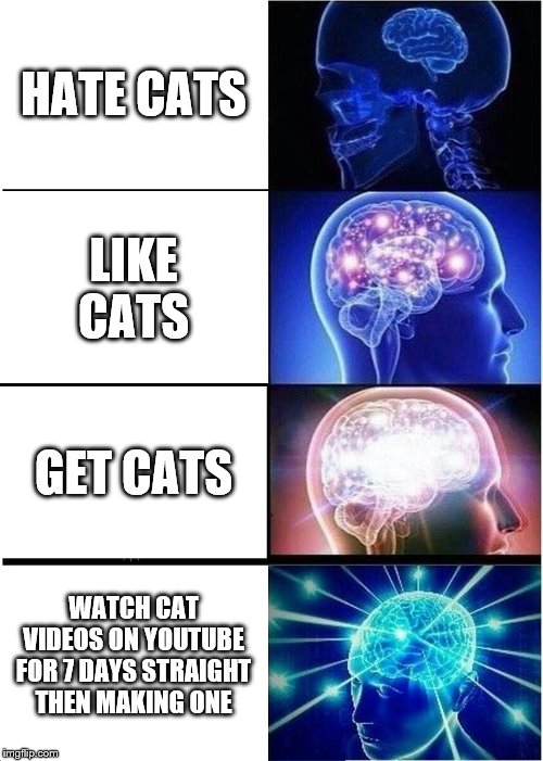 Expanding Brain | HATE CATS; LIKE CATS; GET CATS; WATCH CAT VIDEOS ON YOUTUBE FOR 7 DAYS STRAIGHT THEN MAKING ONE | image tagged in memes,expanding brain | made w/ Imgflip meme maker