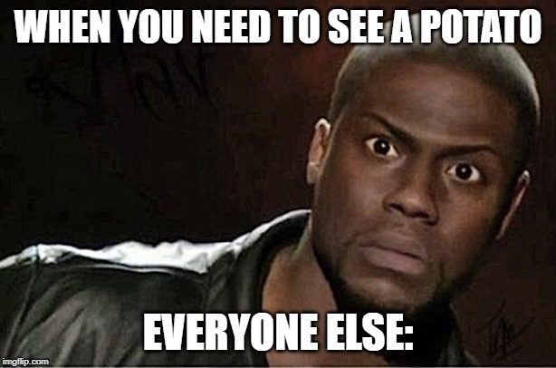 Kevin Hart | WHEN YOU NEED TO SEE A POTATO; EVERYONE ELSE: | image tagged in memes,kevin hart | made w/ Imgflip meme maker
