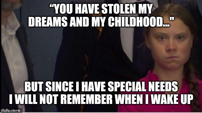 Burn baby burn | “YOU HAVE STOLEN MY DREAMS AND MY CHILDHOOD..."; BUT SINCE I HAVE SPECIAL NEEDS I WILL NOT REMEMBER WHEN I WAKE UP | image tagged in climate change,woke,angry sjw | made w/ Imgflip meme maker