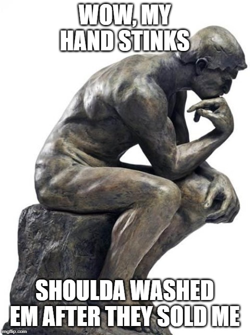 Thinking Man Statue | WOW, MY HAND STINKS SHOULDA WASHED EM AFTER THEY SOLD ME | image tagged in thinking man statue | made w/ Imgflip meme maker