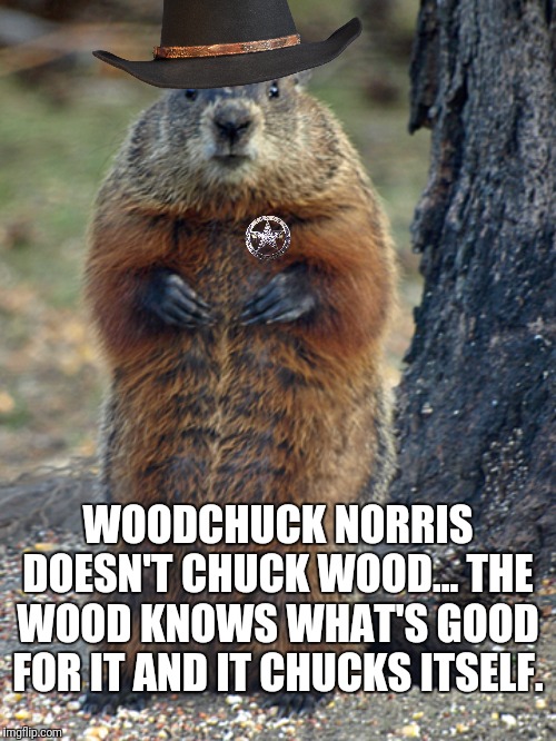 WOODCHUCK NORRIS DOESN'T CHUCK WOOD... THE WOOD KNOWS WHAT'S GOOD FOR IT AND IT CHUCKS ITSELF. | made w/ Imgflip meme maker