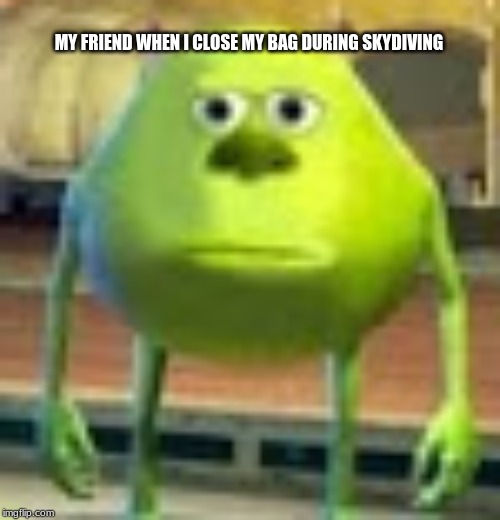 Sully Wazowski | MY FRIEND WHEN I CLOSE MY BAG DURING SKYDIVING | image tagged in sully wazowski | made w/ Imgflip meme maker