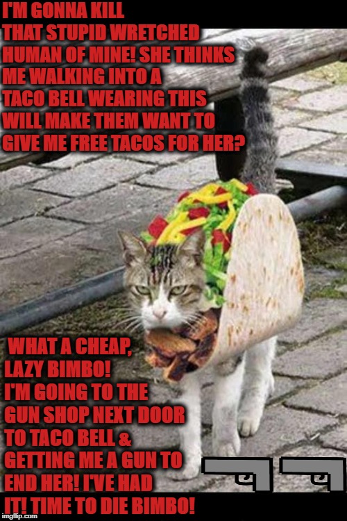 TACO KITTY | I'M GONNA KILL THAT STUPID WRETCHED HUMAN OF MINE! SHE THINKS ME WALKING INTO A TACO BELL WEARING THIS WILL MAKE THEM WANT TO GIVE ME FREE TACOS FOR HER? WHAT A CHEAP, LAZY BIMBO! I'M GOING TO THE GUN SHOP NEXT DOOR TO TACO BELL & GETTING ME A GUN TO END HER! I'VE HAD IT! TIME TO DIE BIMBO! | image tagged in taco kitty | made w/ Imgflip meme maker