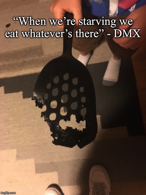 “When we’re starving we eat whatever’s there” - DMX | image tagged in dogs,funny dogs,bad dog,rap,hip hop,song lyrics | made w/ Imgflip meme maker