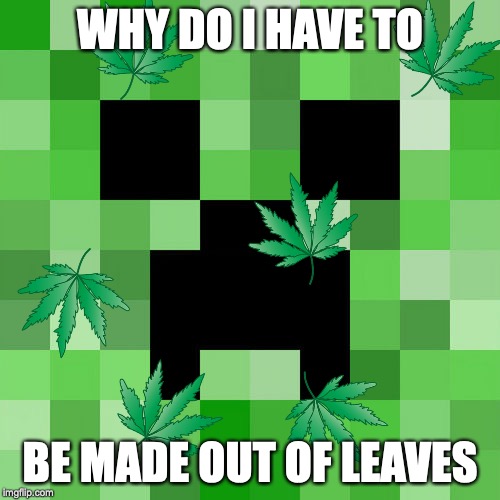 Scumbag Minecraft | WHY DO I HAVE TO; BE MADE OUT OF LEAVES | image tagged in memes,scumbag minecraft | made w/ Imgflip meme maker