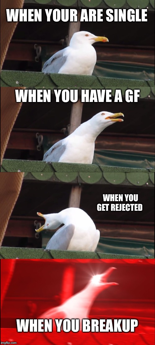 Inhaling Seagull Meme | WHEN YOUR ARE SINGLE; WHEN YOU HAVE A GF; WHEN YOU GET REJECTED; WHEN YOU BREAKUP | image tagged in memes,inhaling seagull | made w/ Imgflip meme maker