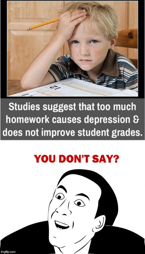 Too much homework = too much stress | image tagged in memes,you don't say,too much homework,homework,school,stressed out | made w/ Imgflip meme maker