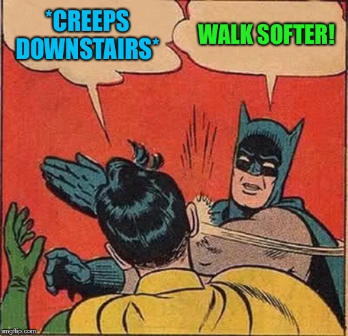 Batman Slapping Robin Meme | *CREEPS DOWNSTAIRS* WALK SOFTER! | image tagged in memes,batman slapping robin | made w/ Imgflip meme maker